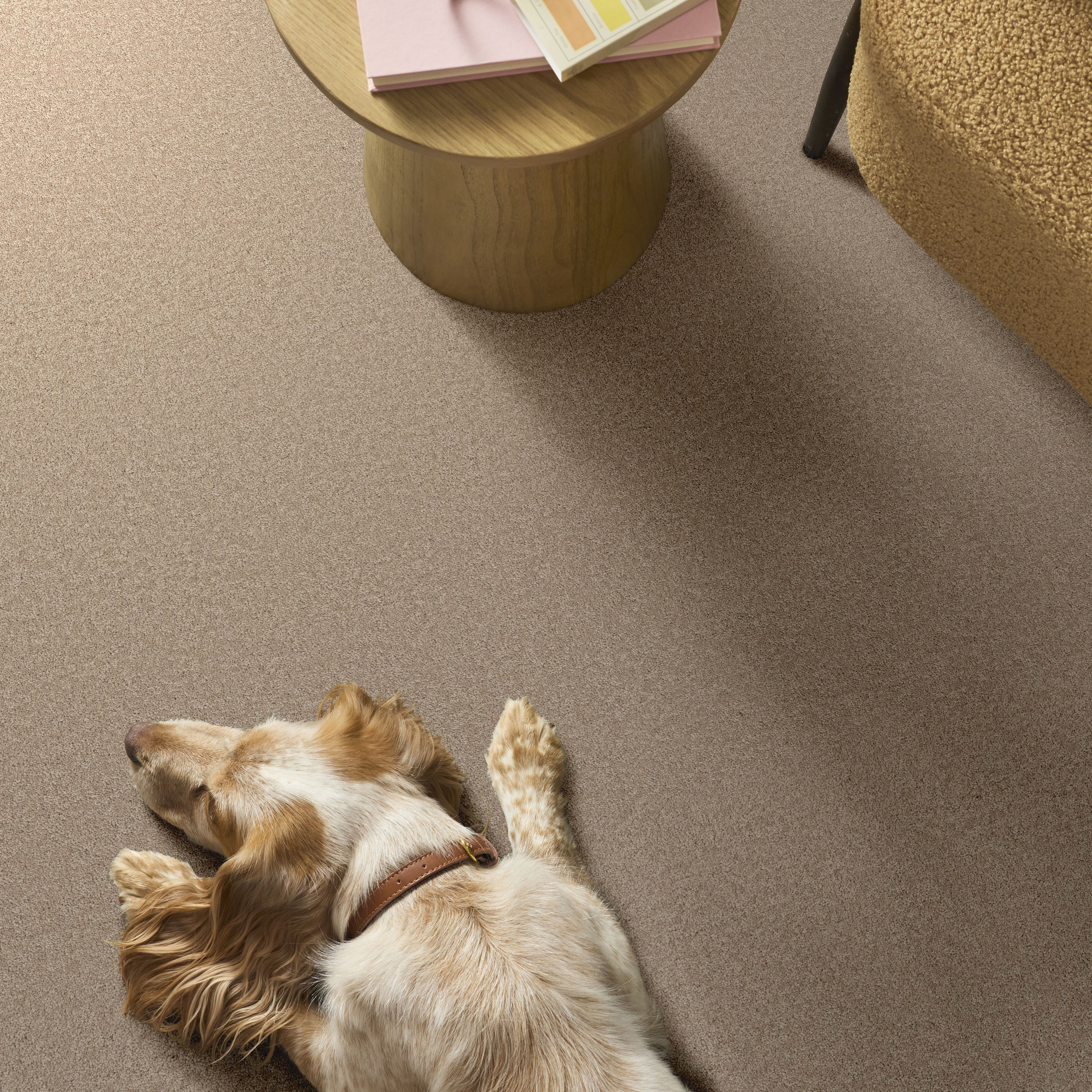 Velvet Touch Ii - Straw Hat Carpet | Shaw Floors
